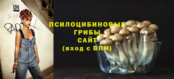 соль курить ск Алзамай