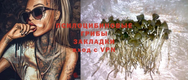 бошки Алексин