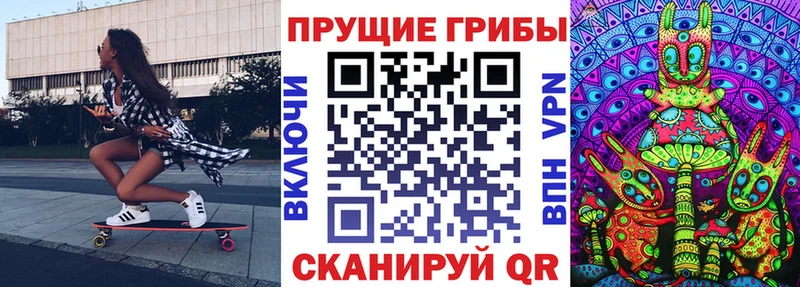 Псилоцибиновые грибы мицелий  купить наркотики цена  Тында 