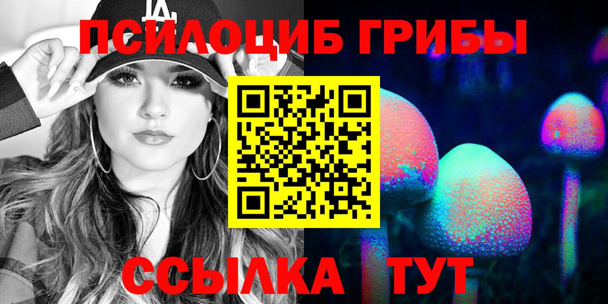 Галлюциногенные грибы мицелий  Вход с VPN  Тында 