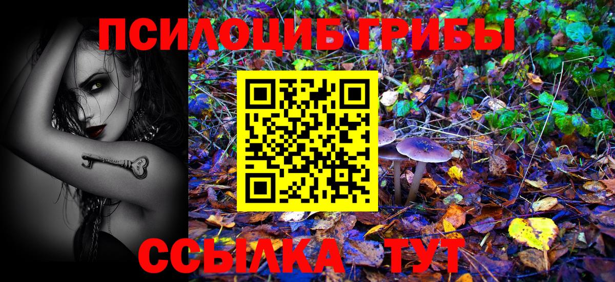 Псилоцибиновые грибы MAGIC MUSHROOMS Тында